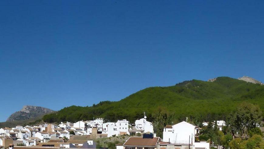 El Pinar *